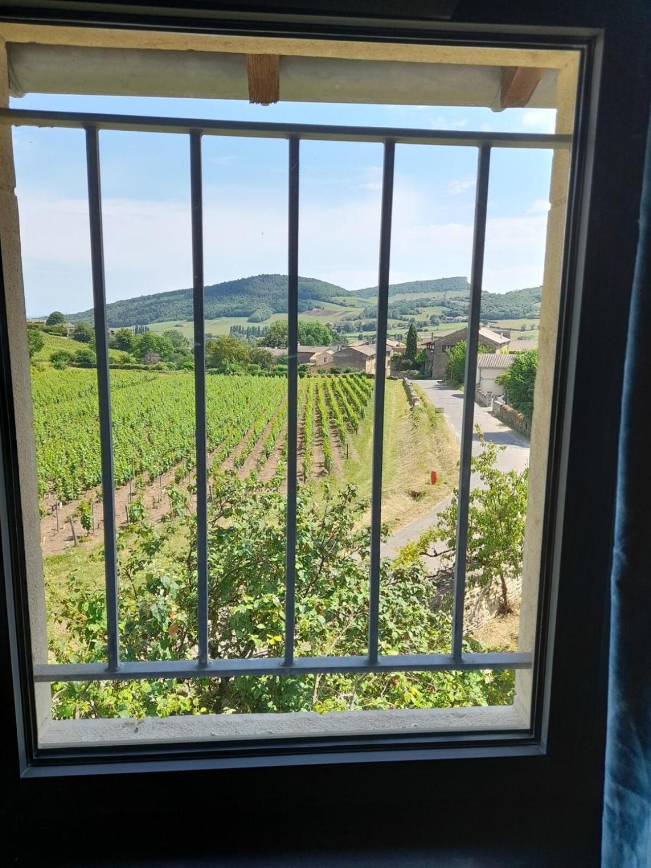 At The End Of The World -Bussires Burgundy Vila Bussieres  Exterior foto