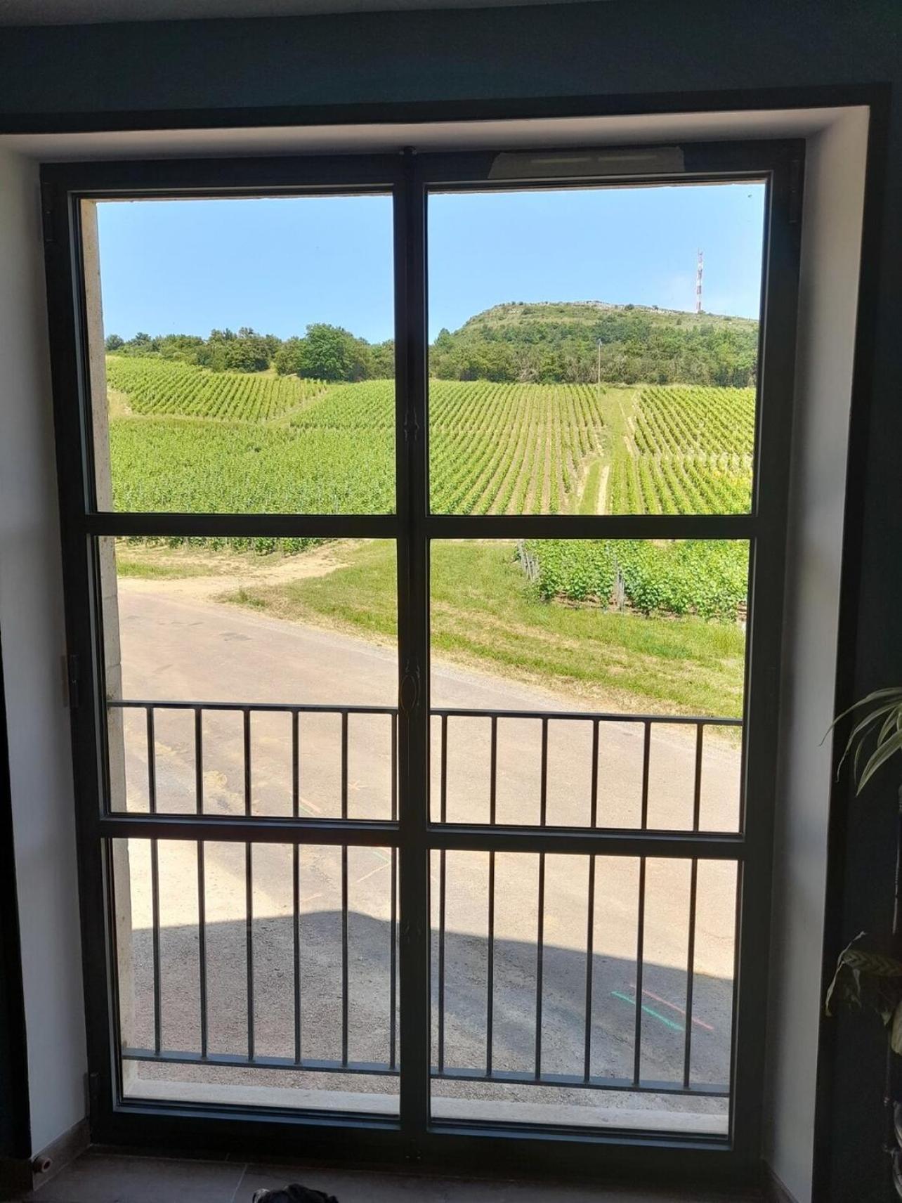 At The End Of The World -Bussires Burgundy Vila Bussieres  Exterior foto